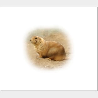 Prairie dog Posters and Art